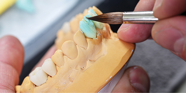 Model of a jaw while hands with a paintbrush work on them